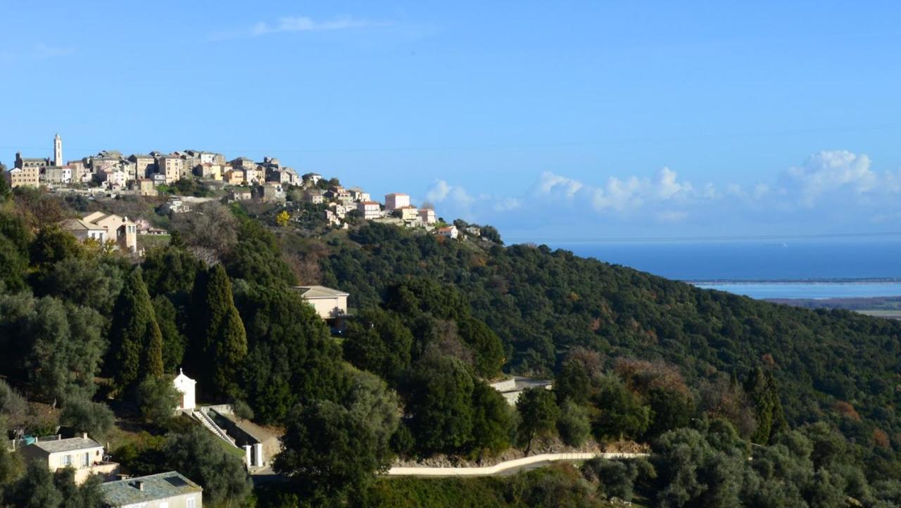 Au Coeur Du Village De Lucciana Lucciana  Exterior foto